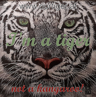 Motto of Our tiger: www.ourtiger.at I'm a tiger not a kangaroo!